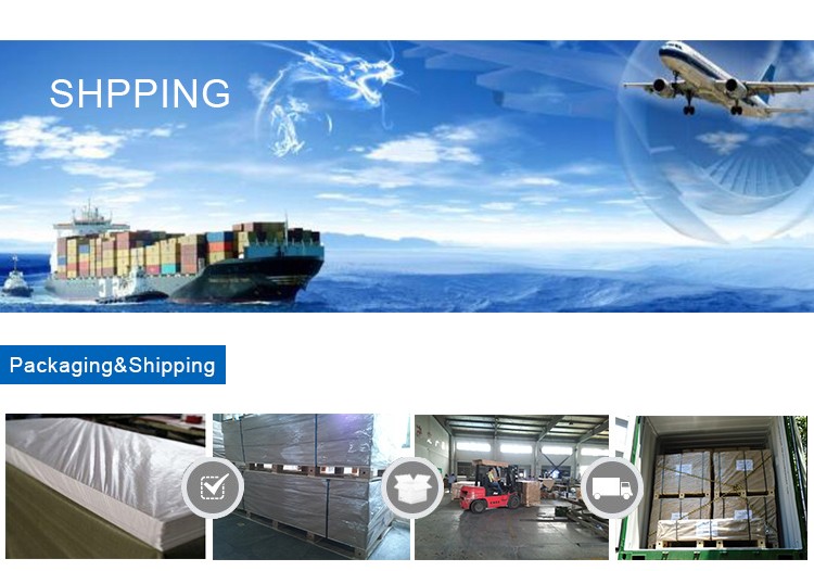 Paidu Group Factory Direct Sale ABS Plastic Sheet for Vacuum Forming sheet ABS BOARD